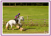 Lacys Cottage Riding School ~ Scrayingham