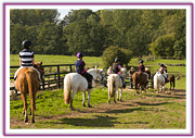 Lacys Cottage Riding School ~ Scrayingham