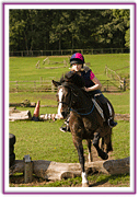 Lacys Cottage Riding School ~ Scrayingham