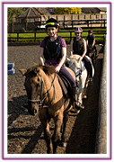 Lacys Cottage Riding School ~ Scrayingham