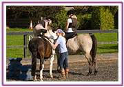 Lacys Cottage Riding School ~ Scrayingham