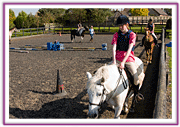 Lacys Cottage Riding School ~ Scrayingham