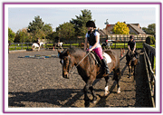 Lacys Cottage Riding School ~ Scrayingham