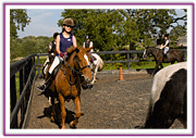 Lacys Cottage Riding School ~ Scrayingham