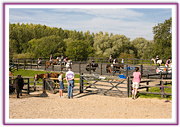 Lacys Cottage Riding School ~ Scrayingham