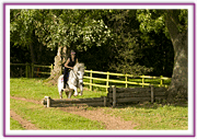 Lacys Cottage Riding School ~ Scrayingham