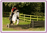 Lacys Cottage Riding School ~ Scrayingham