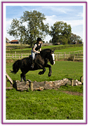 Lacys Cottage Riding School ~ Scrayingham