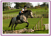 Lacys Cottage Riding School ~ Scrayingham