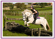 Lacys Cottage Riding School ~ Scrayingham