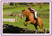 Lacys Cottage Riding School ~ Scrayingham