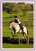 Lacys Cottage Riding School ~ Scrayingham