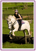 Lacys Cottage Riding School ~ Scrayingham