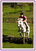 Lacys Cottage Riding School ~ Scrayingham