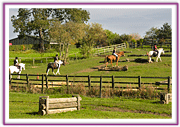 Lacys Cottage Riding School ~ Scrayingham