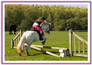 Lacys Cottage Riding School ~ Scrayingham