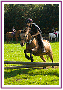 Lacys Cottage Riding School ~ Scrayingham