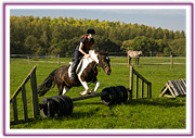 Lacys Cottage Riding School ~ Scrayingham