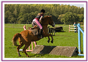 Lacys Cottage Riding School ~ Scrayingham