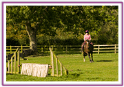 Lacys Cottage Riding School ~ Scrayingham