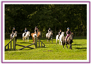 Lacys Cottage Riding School ~ Scrayingham