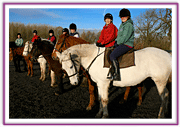 Lacys Cottage Riding School ~ Scrayingham