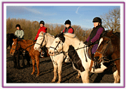 Lacys Cottage Riding School ~ Scrayingham