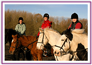 Lacys Cottage Riding School ~ Scrayingham